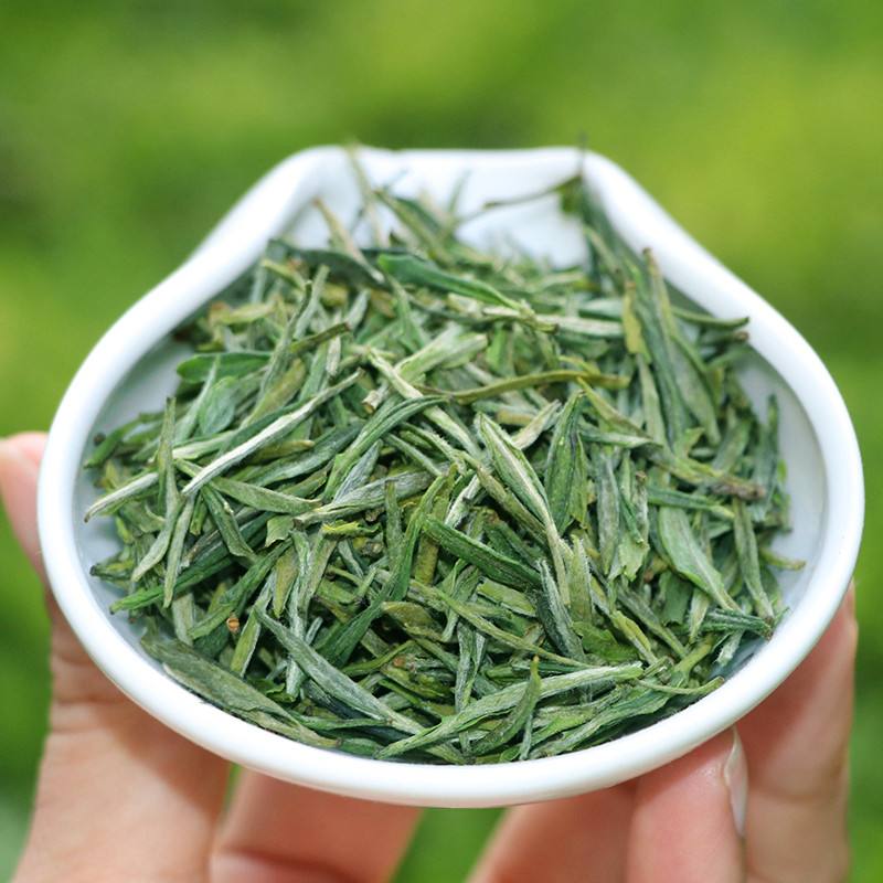 岳西翠兰